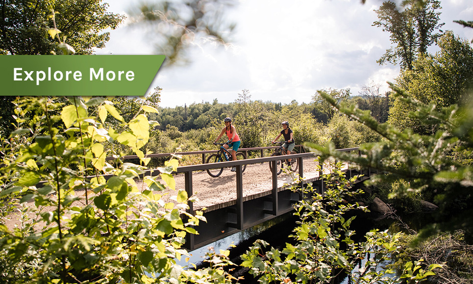 Two women mountain bike over a bridge surrounded by foliage.